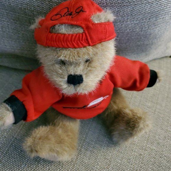 Boyds Bear Nascar Dale Earnhardt Jr. #8 - Picture 2 of 8